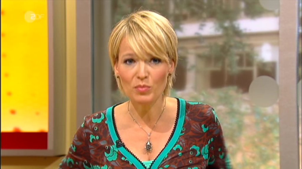 ZDF 2012-10-29 10-11-09.jpg