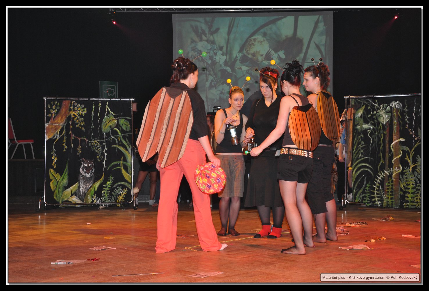 DSC_0772.JPG