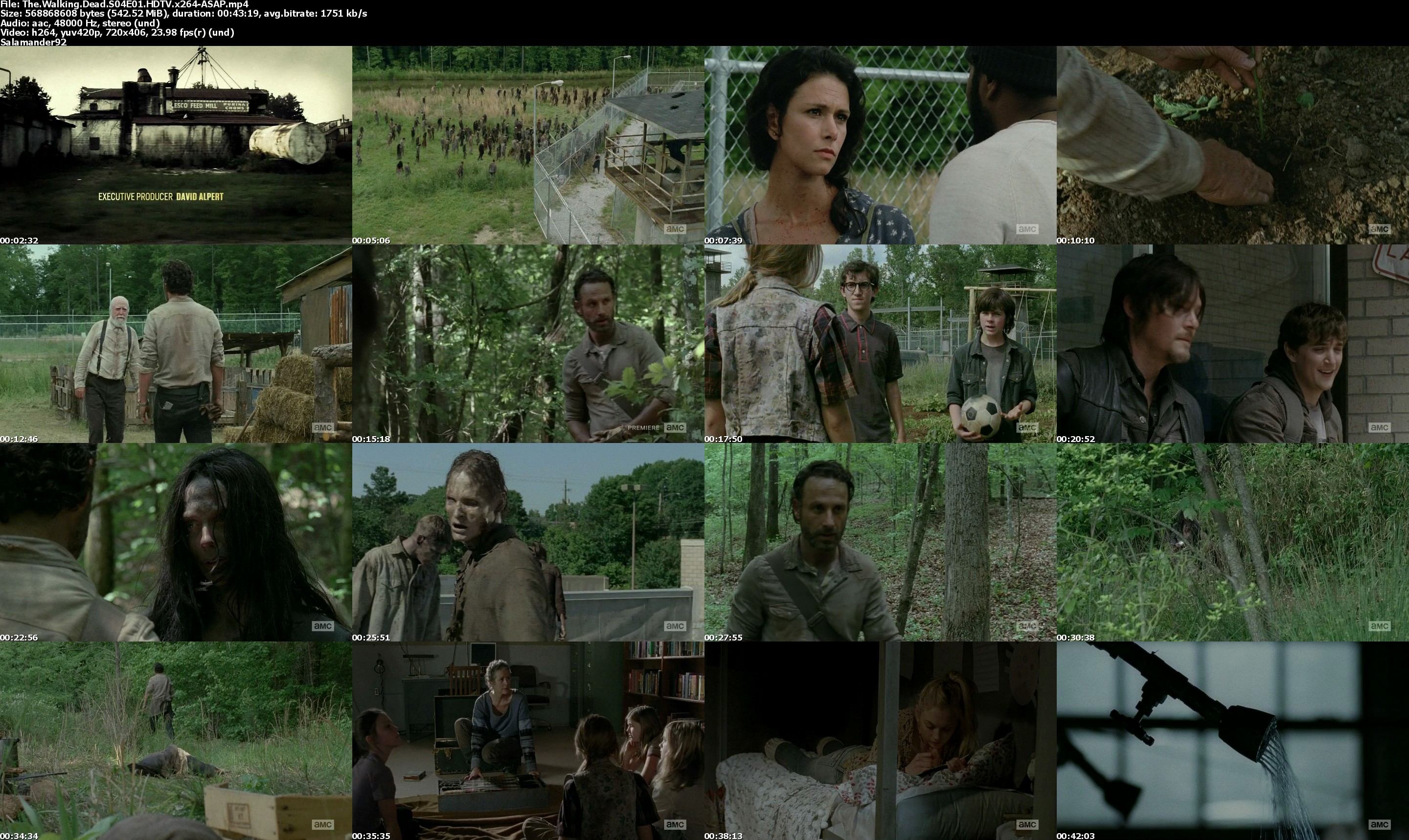 The.Walking.Dead.S04E01.HDTV.x264-ASAP_s.jpg