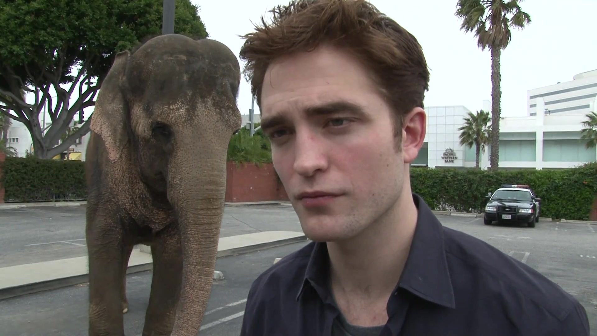 Robert Pattinson Answers Your Questions About _Water For Ele 1539.jpg