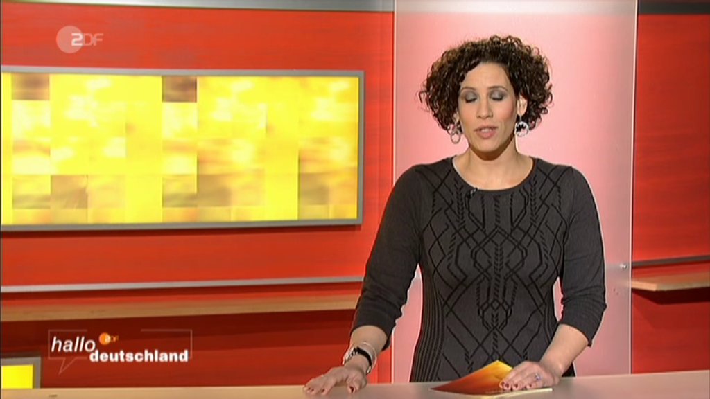 ZDF 2013-11-12 17-17-47.jpg