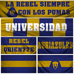 PUMAS.png