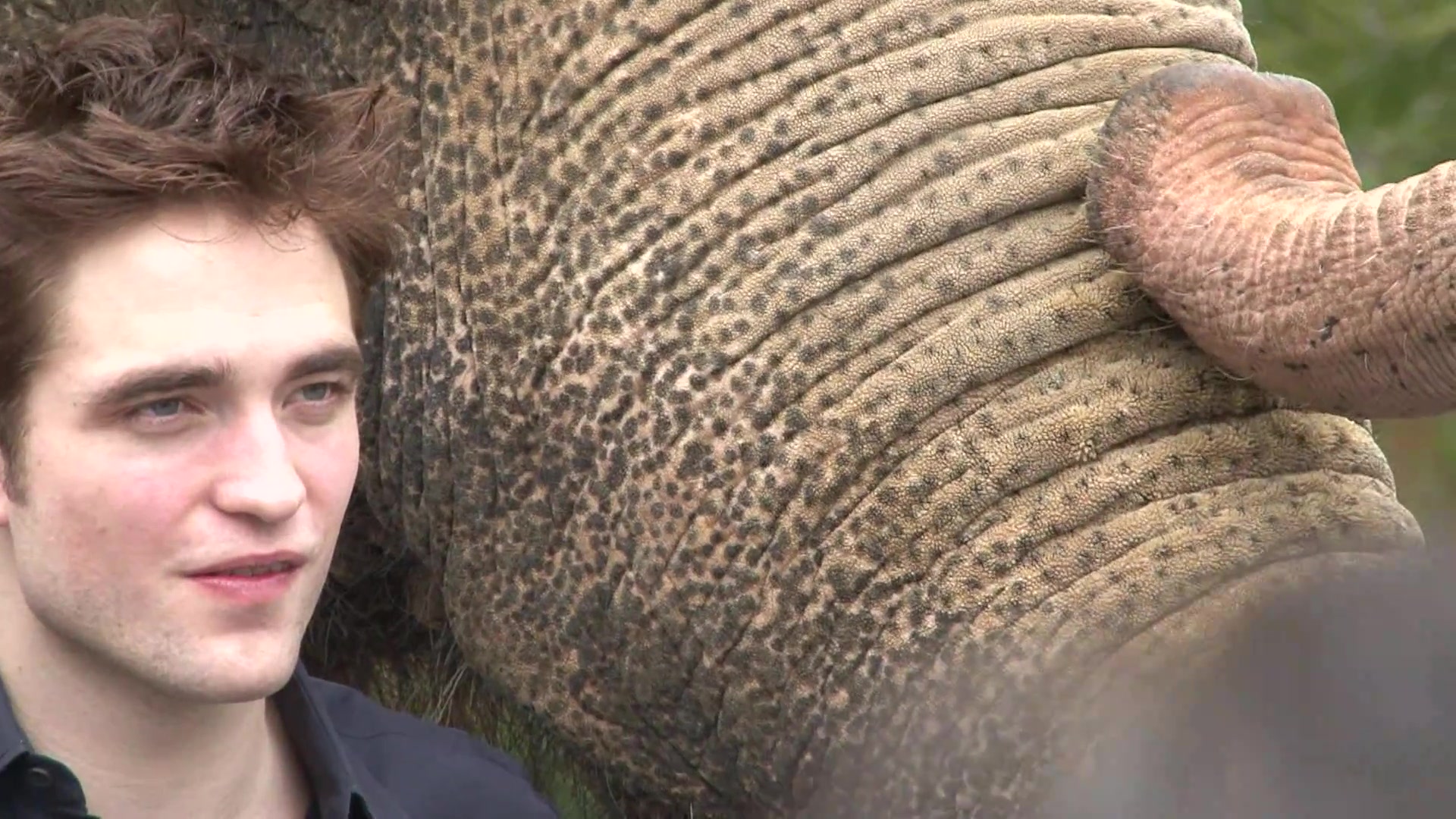Robert Pattinson Answers Your Questions About _Water For Ele 0278.jpg