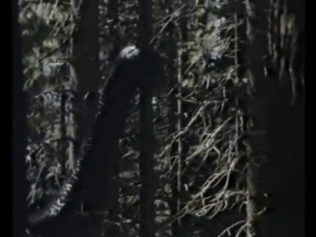 the_loch_ness_horror.wmv.0029.jpg