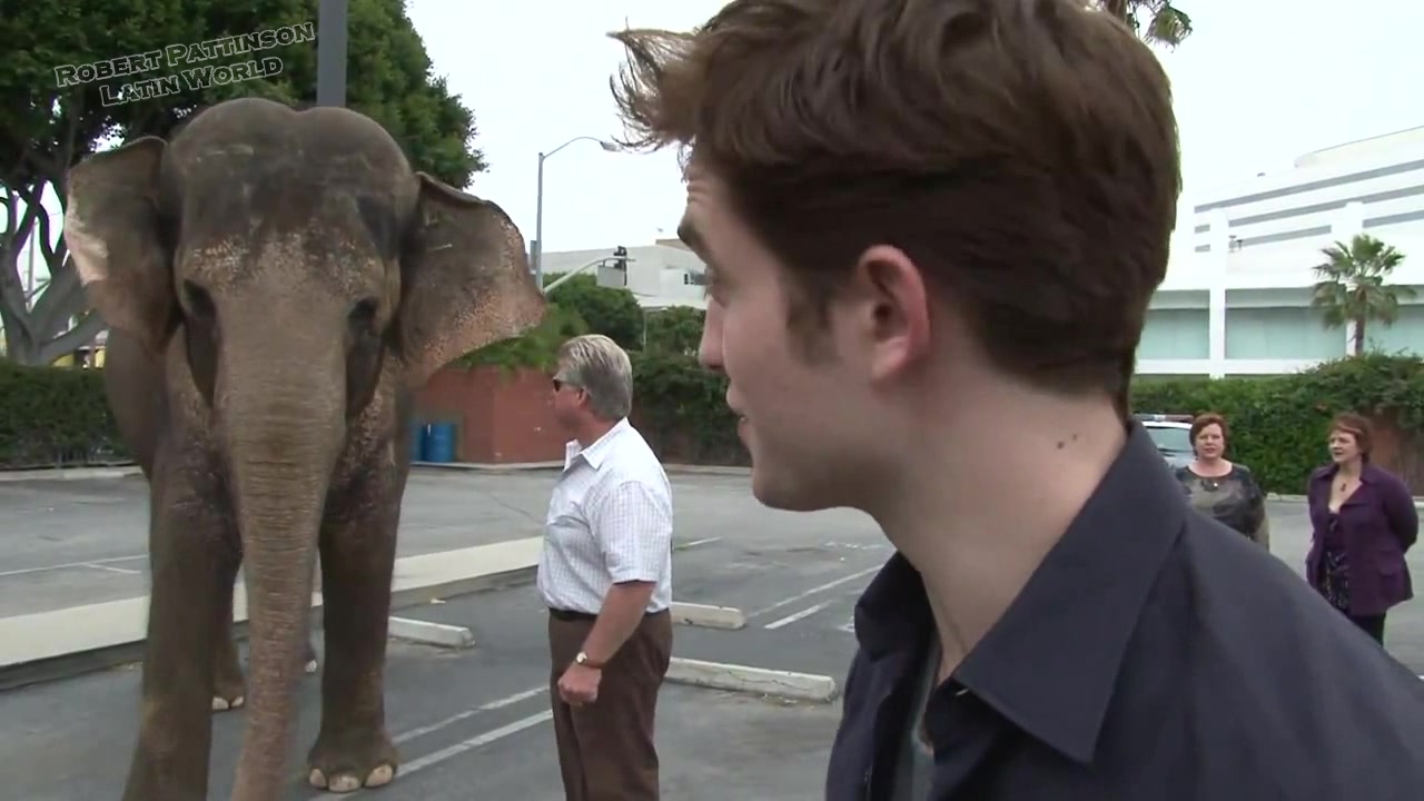 Robert Pattinson on working with Reese Witherspoon and the Elephant 012.jpg