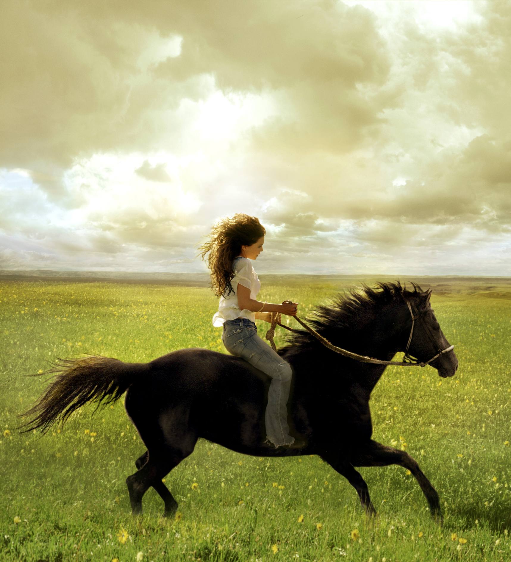Проскачу на коне. Флика 1. Фотосессия с лошадьми. Верхом на лошади. Девушка с лошадью.