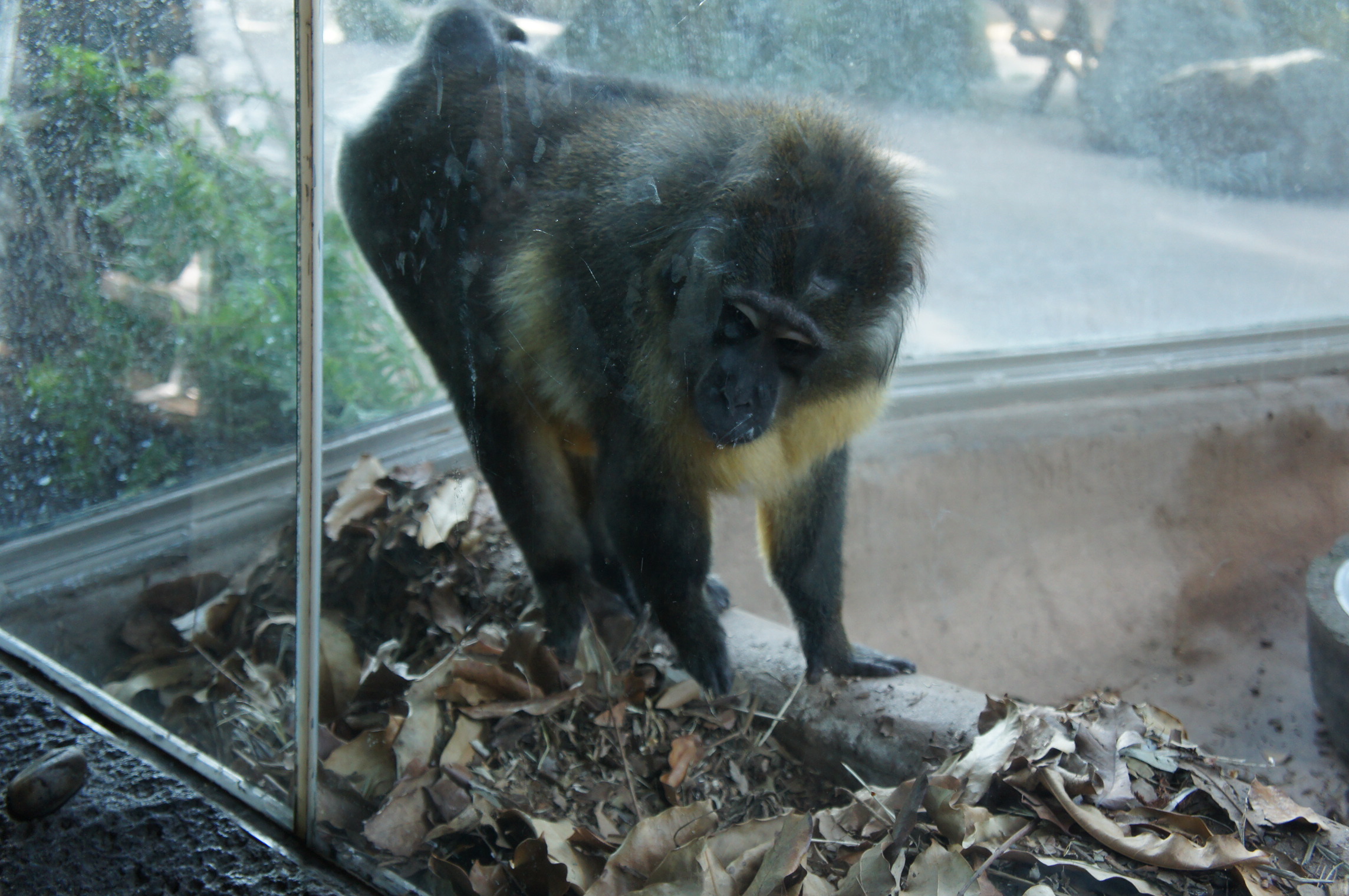 DSC04808.JPG