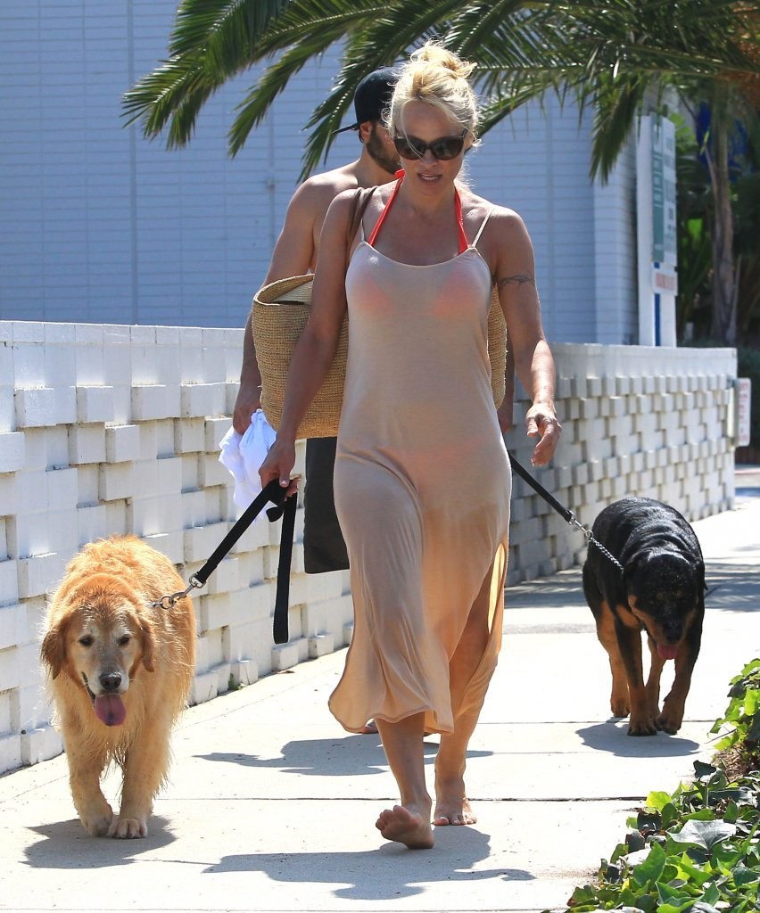 Pamela+Anderson+Rick+Salomon+Walk+Their+Dogs+bWUExejgwVEx.jpg