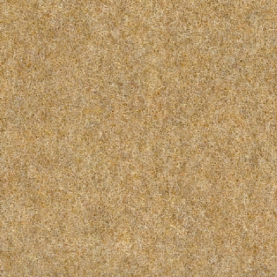 Carpete-Resinado-Autolour-Bege-902_8_001.jpg