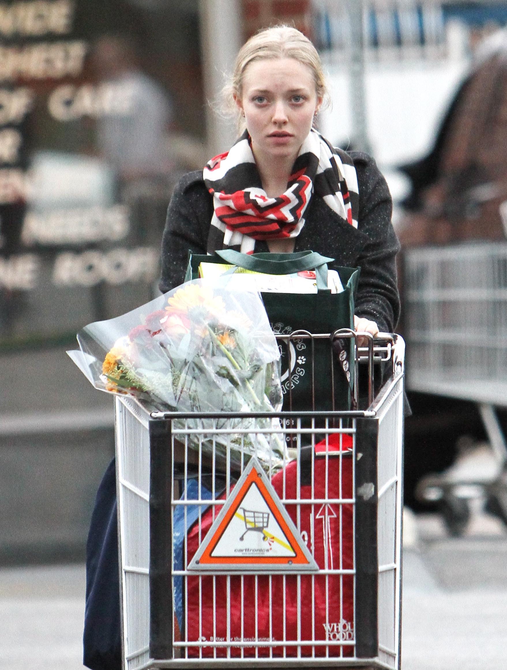 Amanda_Seyfried_26.jpg