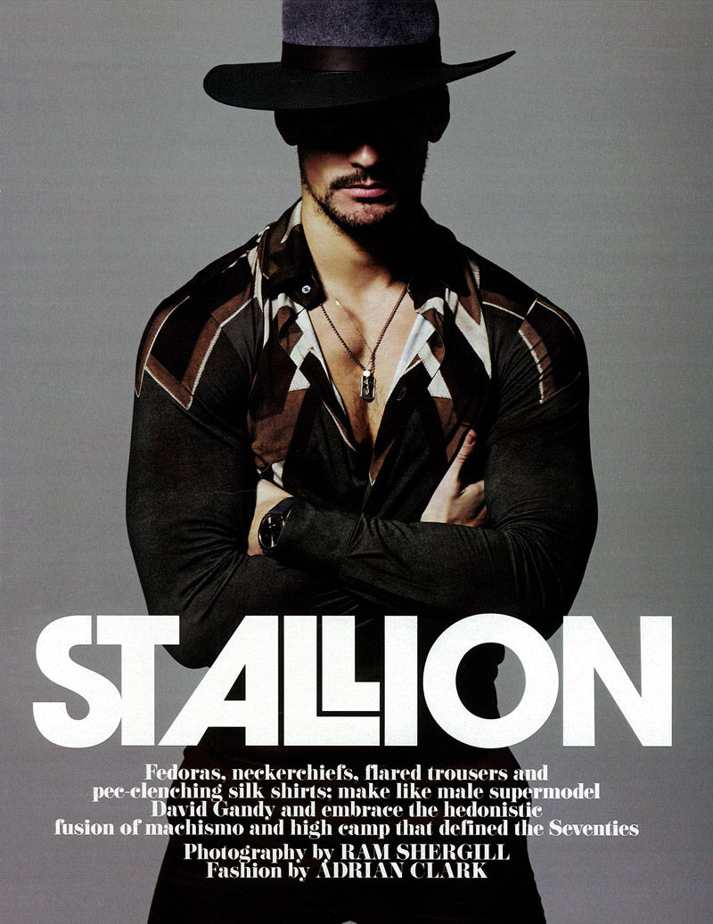davidgandy_rs6.jpg