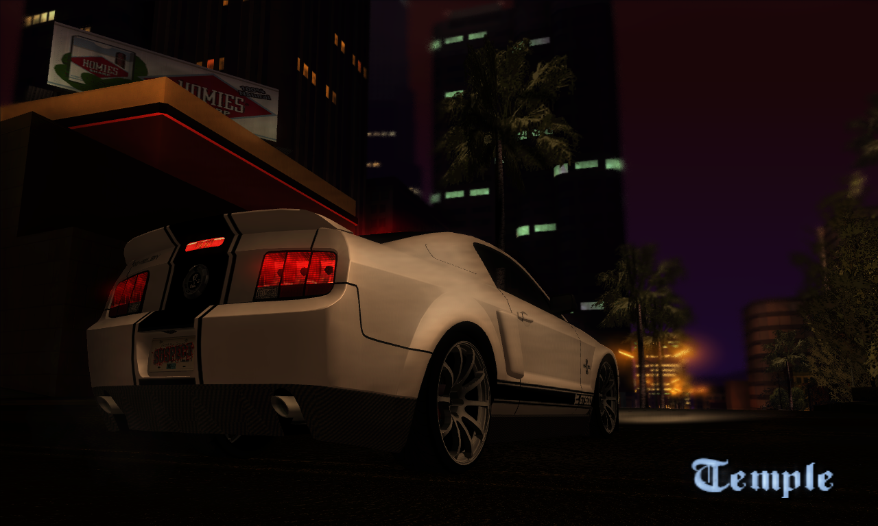 gta_sa2010-03-2419-17-12-43.png