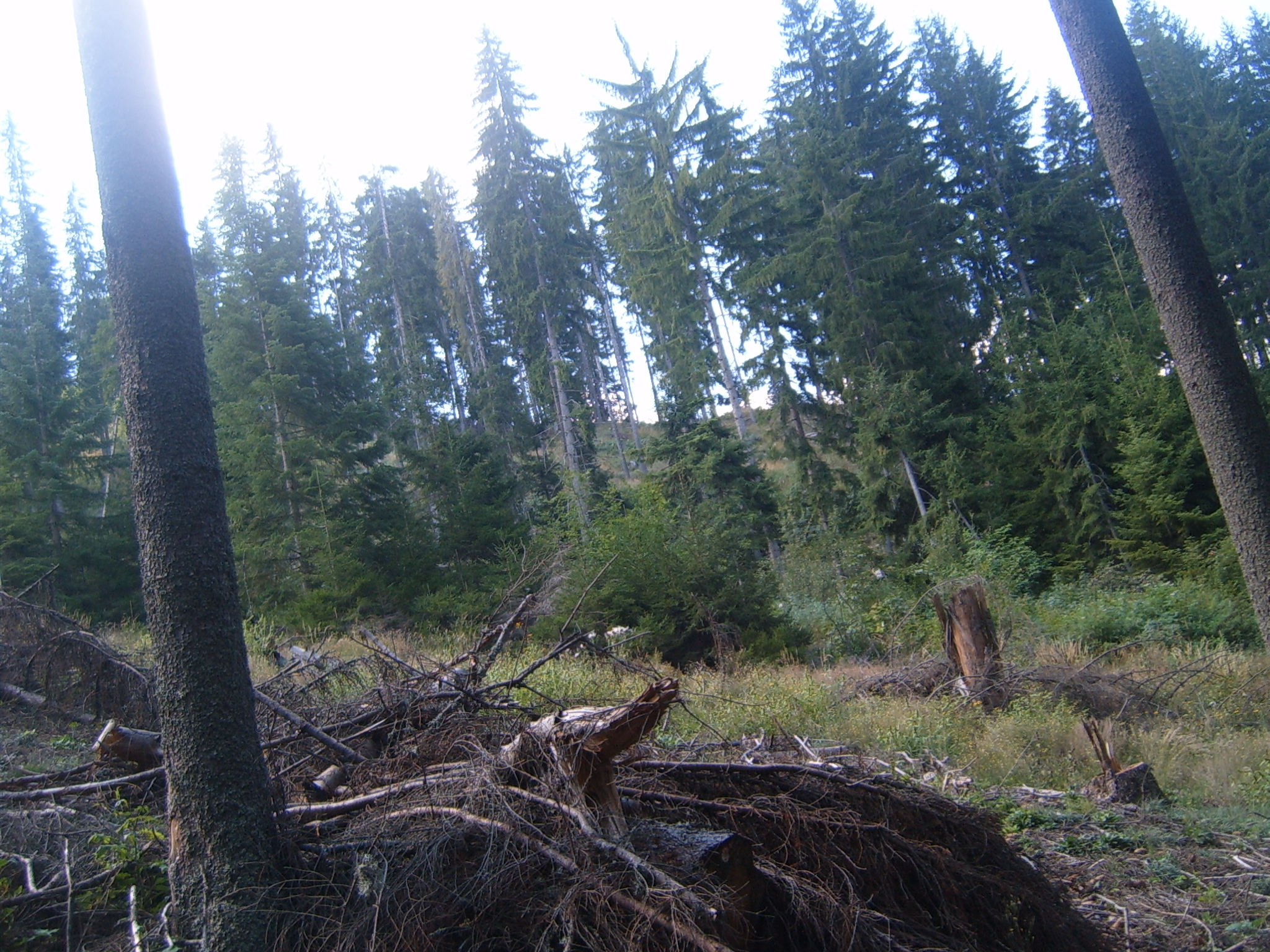 S3701009.JPG