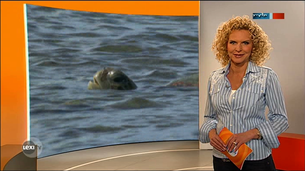 Victoria Herrmann_LexiTV_23052012_019.jpeg