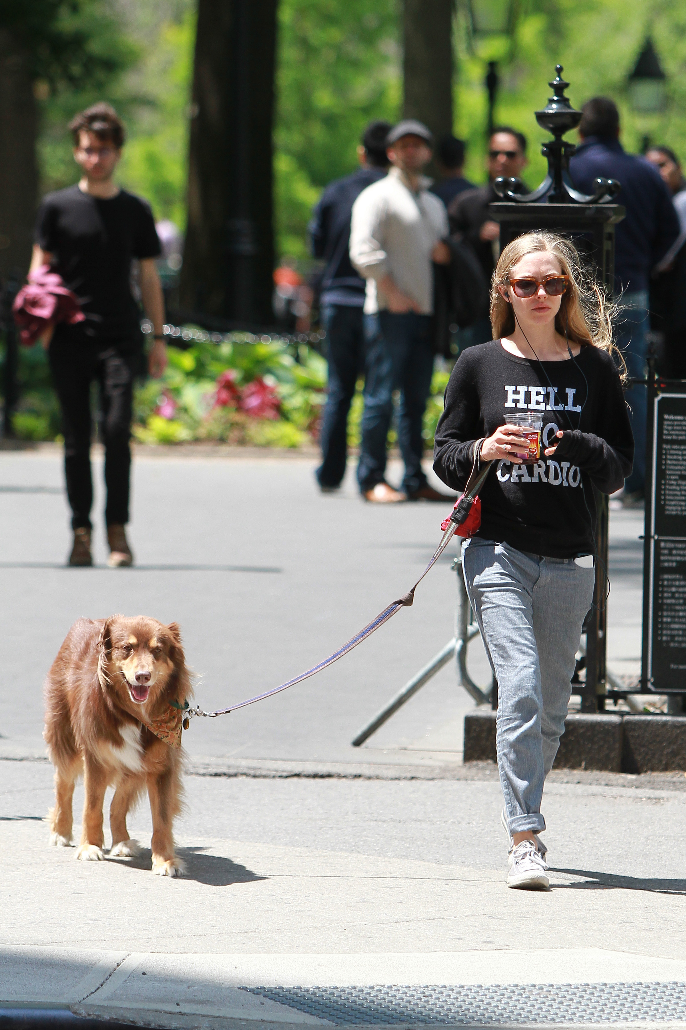 VN_Amanda_Seyfried_341498.jpg
