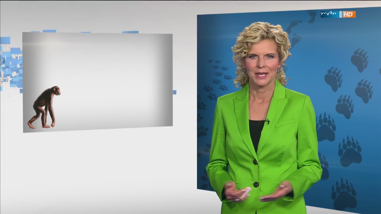 Victoria_Herrmann_2015042100016.jpg