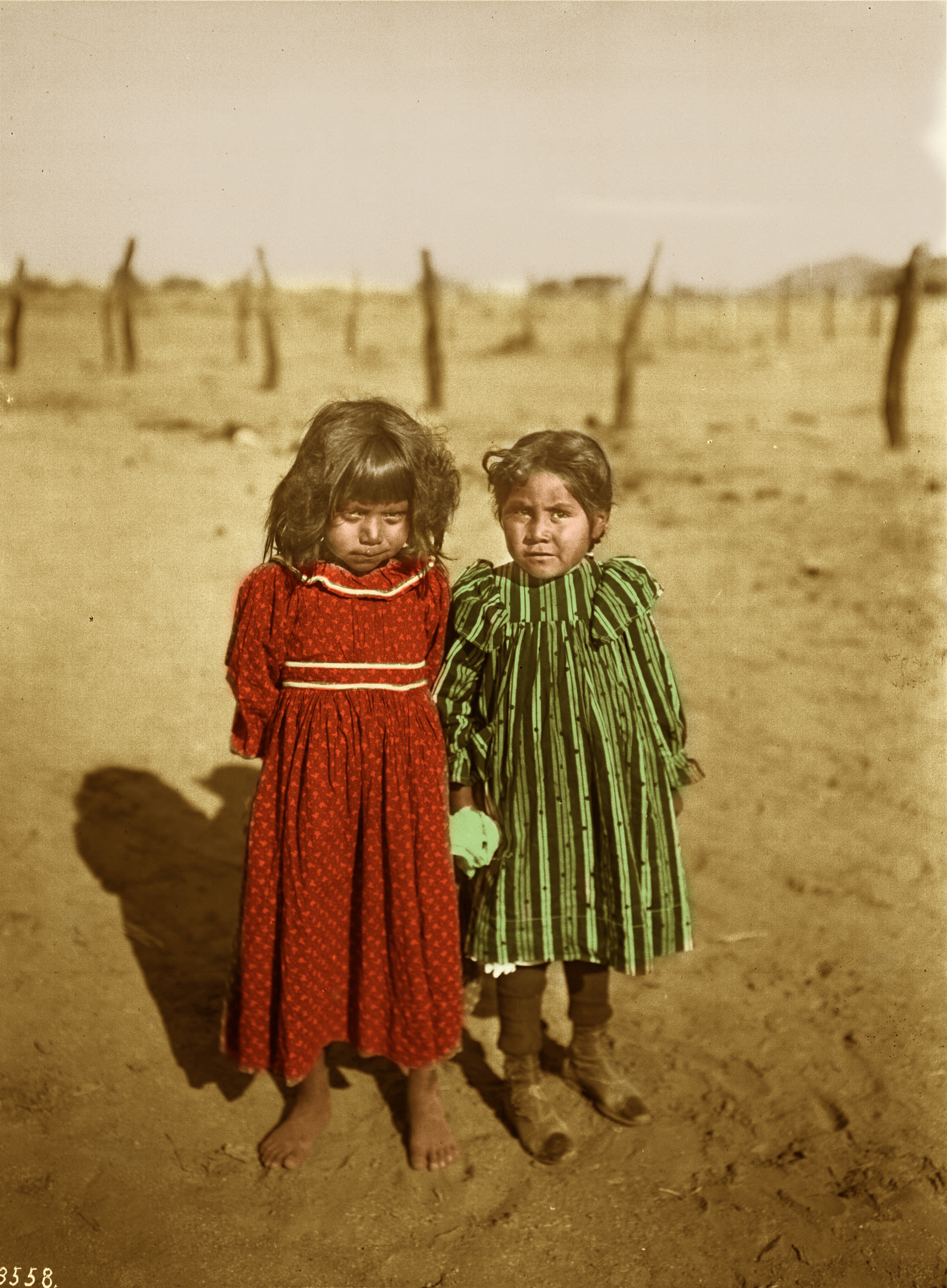 Twoyoung_Pima_Indian_school_girls,_ca.1900 Colored Sepia!!.jpeg