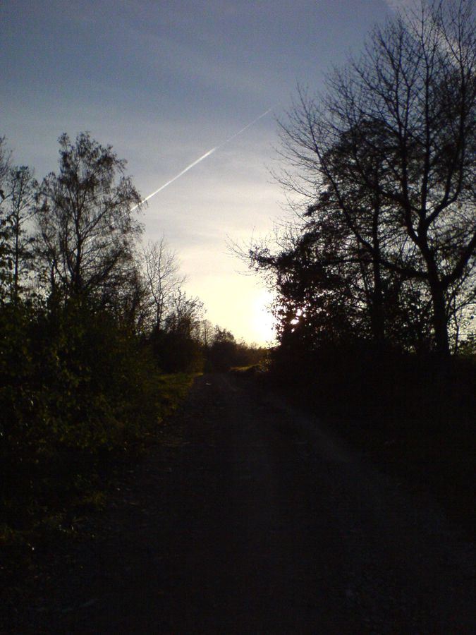DSC04228.JPG